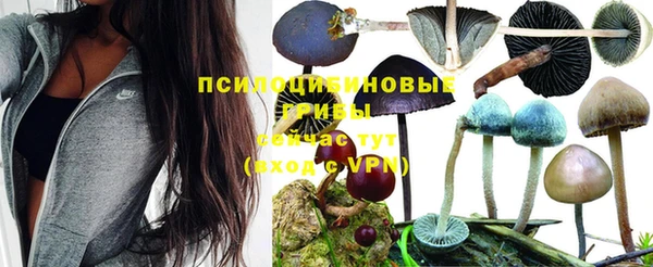 скорость Арсеньев